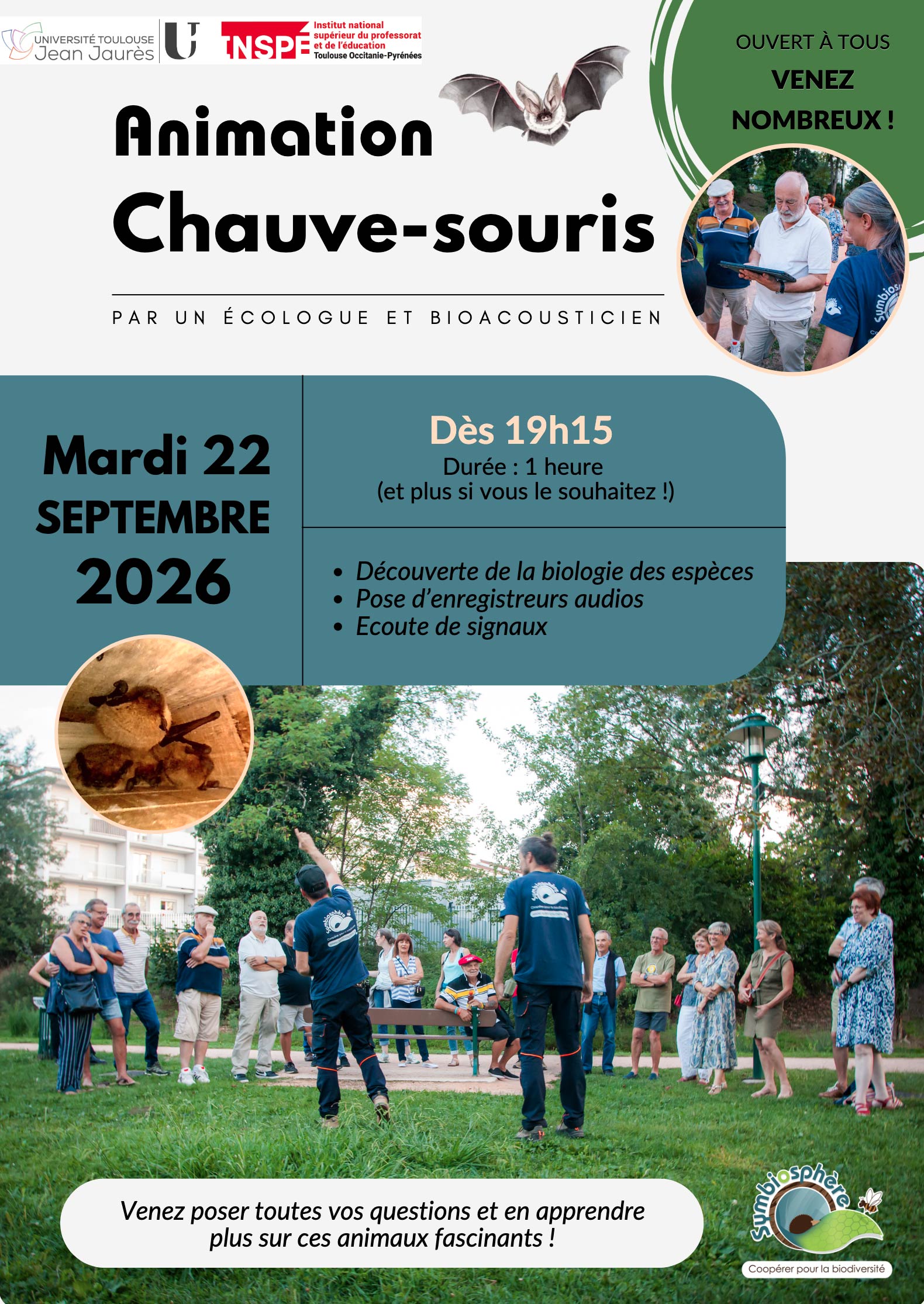 affiche animation chauves souris