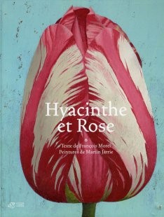 hyacinthe