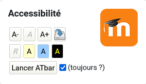 Plugin Accessibilité