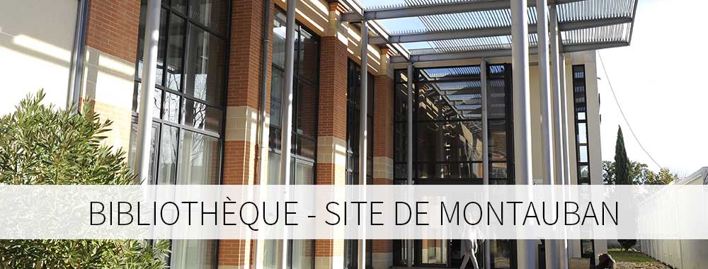 Bibliothèque site de Montauban
